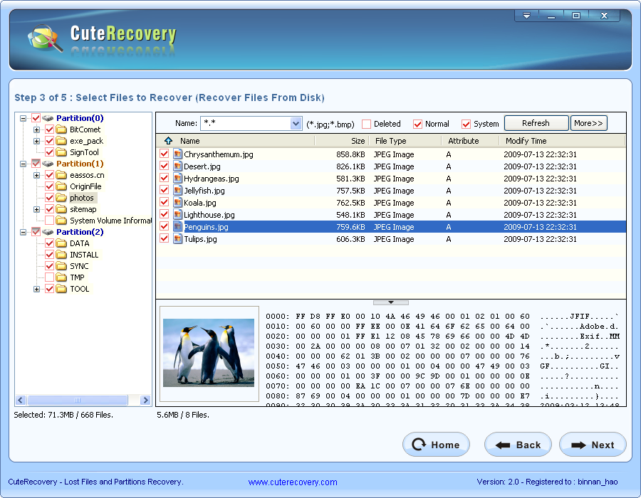 Whole Disk File Recovery - Searching Result and Select Files to Recover