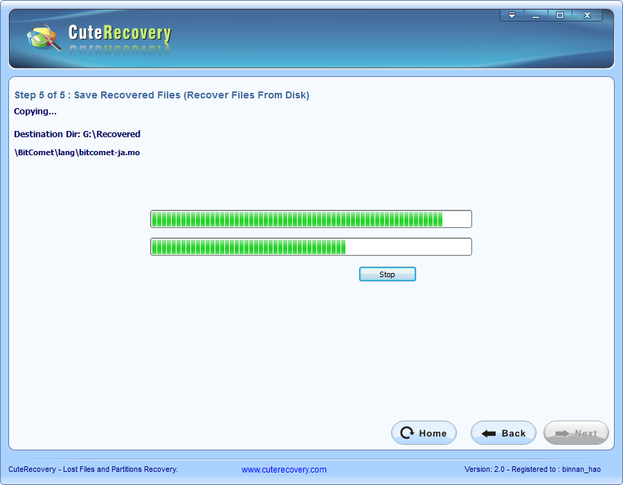 Whole Disk File Recovery - Saving Files
